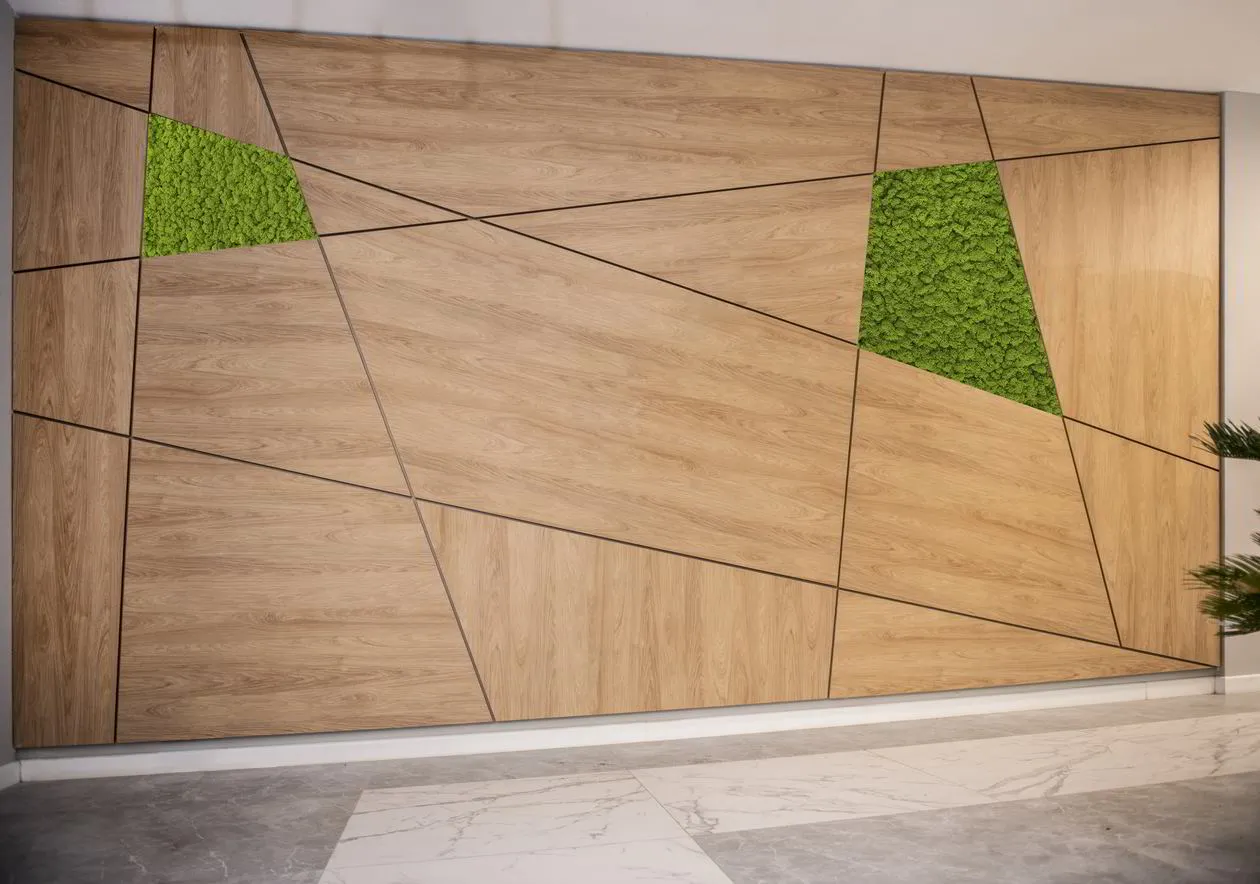 Proiect mobilare Receptie, Placari Pereti, 60 m² — foto 3 din 7