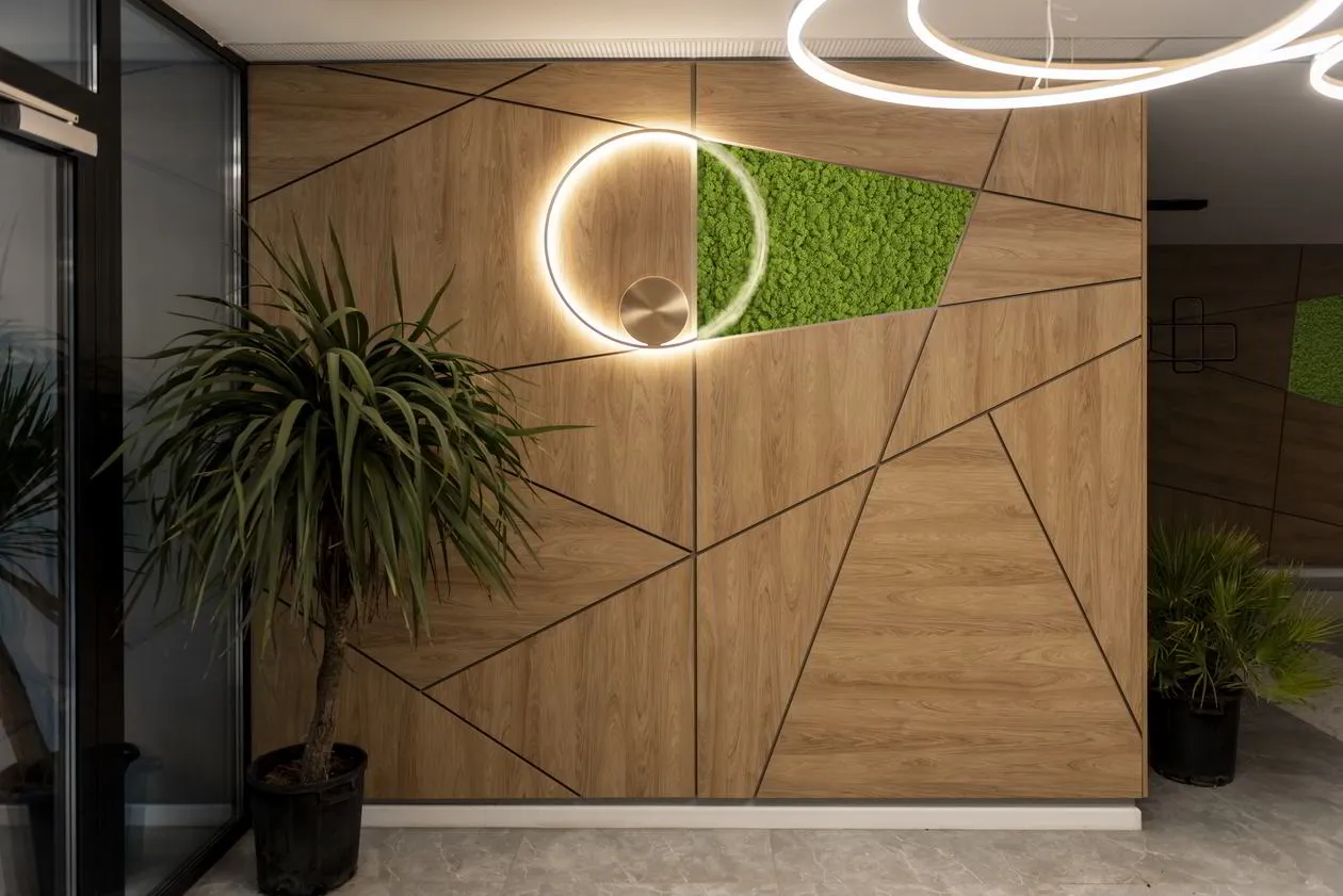 Proiect mobilare Receptie, Placari Pereti, 60 m² — foto 6 din 7
