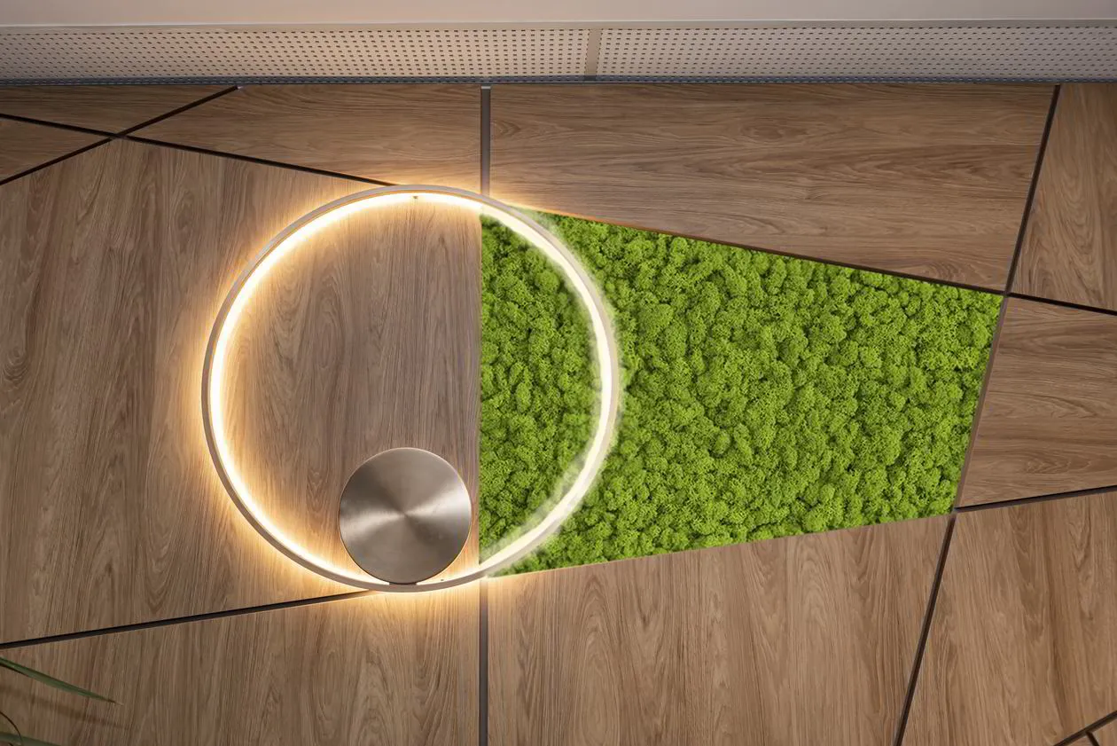 Proiect mobilare Receptie, Placari Pereti, 60 m² — foto 7 din 7