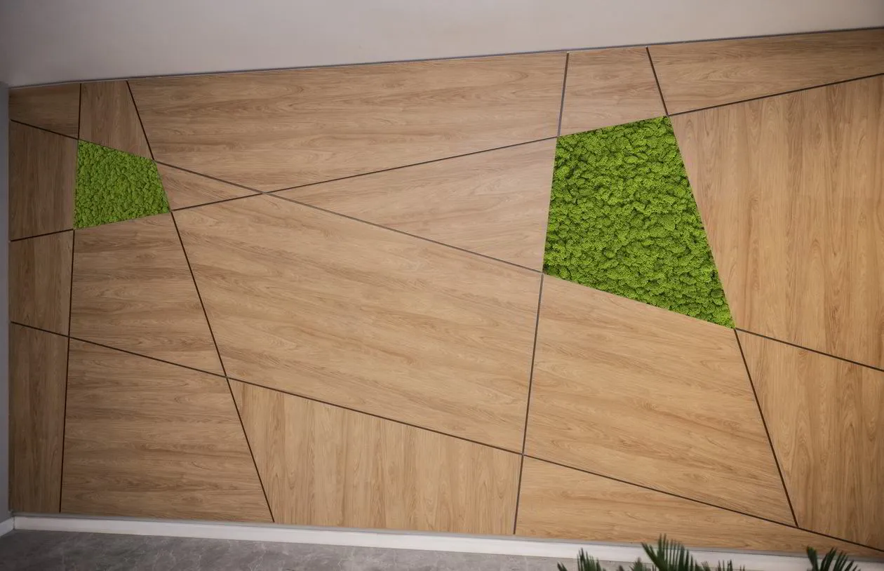 Proiect mobilare Receptie, Placari Pereti, 60 m² — foto 4 din 7